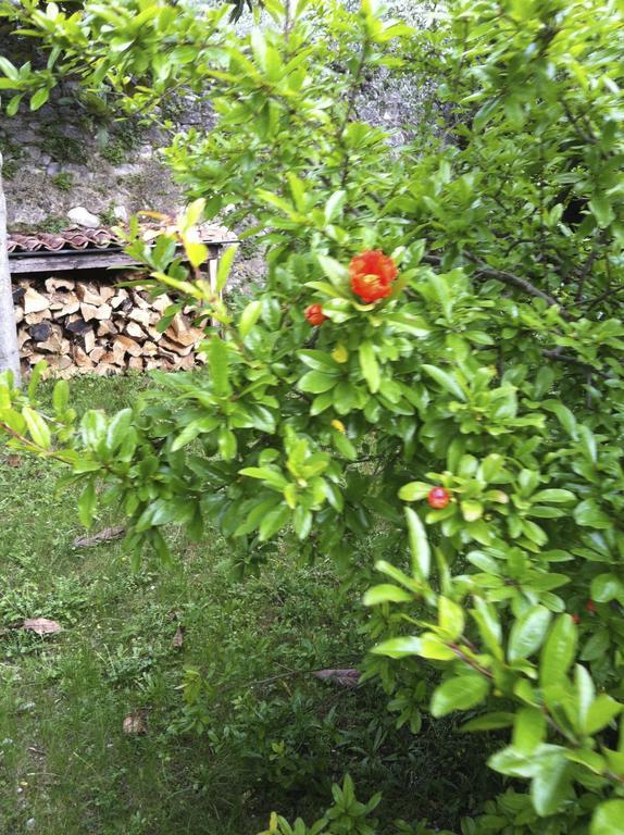 3 Rooms Apartment Whit Balcony And Lake Wiew Malcesine Extérieur photo